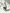 （panda）3D Vase Puzzle with Water-Holding Insert – Buildable Flower Vase
